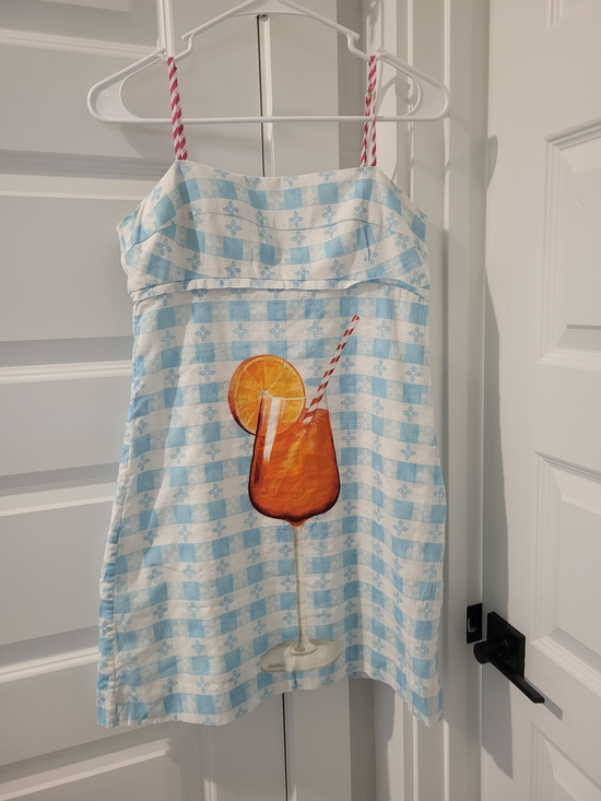 Rachel Antonoff Dresses & Skirts - Rachel Antonoff Blue and White Gingham Mini Dress with Orange Cocktail Print